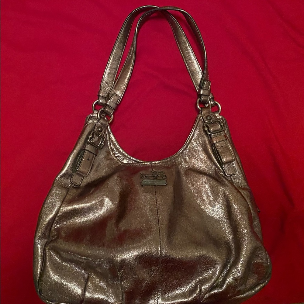 Pewter metallic coach